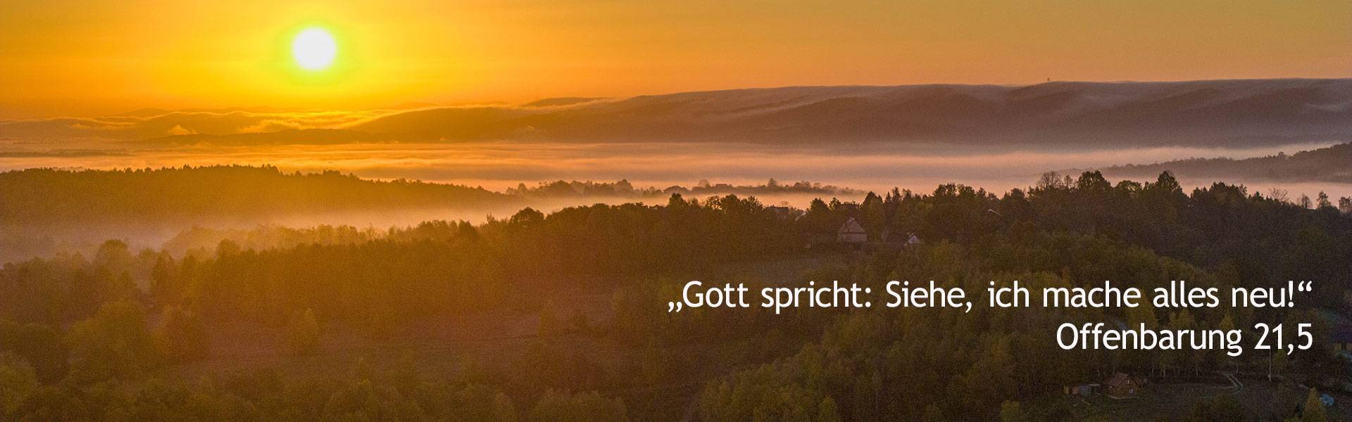 Quelle: istock